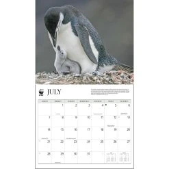 Penguins WWF 2024 Wall Calendar -Calendars Sales Store 5e1fb427 89c7 406c a54d 678fc094d5f6