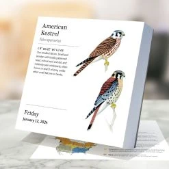 Birds Backyard And Beyond 2024 Desk Calendar -Calendars Sales Store 5e79a7a2 fe99 4c4f af68 991e2defa6dc