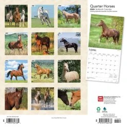 Horses Quarter 2024 Wall Calendar 11 Horses Quarter 2024 Wall Calendar -Calendars Sales Store 5effc7dd 5282 4379 a32a 978120cd69c2