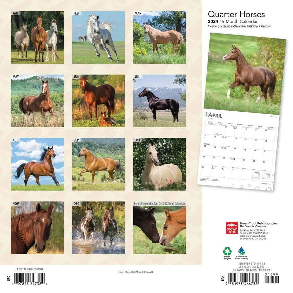 Horses Quarter 2024 Wall Calendar 4 Horses Quarter 2024 Wall Calendar - Image 2