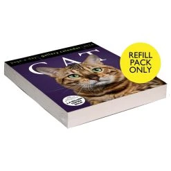 Cat Gallery 2024 Desk Calendar Refill Pack