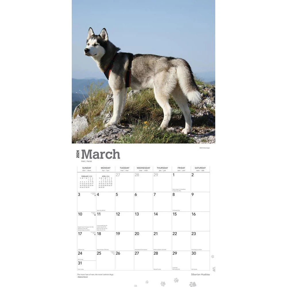 Siberian Huskies 2024 Wall Calendar 5 Siberian Huskies 2024 Wall Calendar - Image 3