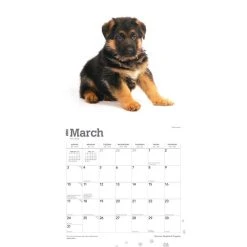 German Shepherd Puppies 2024 Wall Calendar 12 German Shepherd Puppies 2024 Wall Calendar -Calendars Sales Store 60ad82a5 87bc 4375 a5db 8803ca5db851