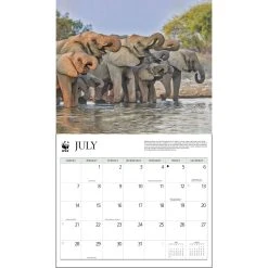 Elephants WWF 2024 Wall Calendar -Calendars Sales Store 638e1928 8cdc 469e a436 14174dfe37db