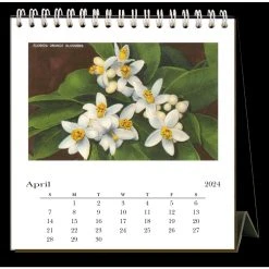 Florida 2024 Easel Desk Calendar -Calendars Sales Store 644af6e6 0717 473c a0f3 e166a4ca5ea8