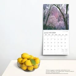 Americas National Parks 2024 Wall Calendar -Calendars Sales Store 656bba16 1e01 48bd bdde feae56e293a9