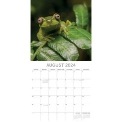Jungles 2024 Wall Calendar -Calendars Sales Store 663eff04 6f94 422a 9eb8 255cd43c7541