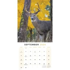 Trophy Bucks 2024 Wall Calendar -Calendars Sales Store 6656a4c9 b3f2 4d24 914c 7cbe7d8632a0