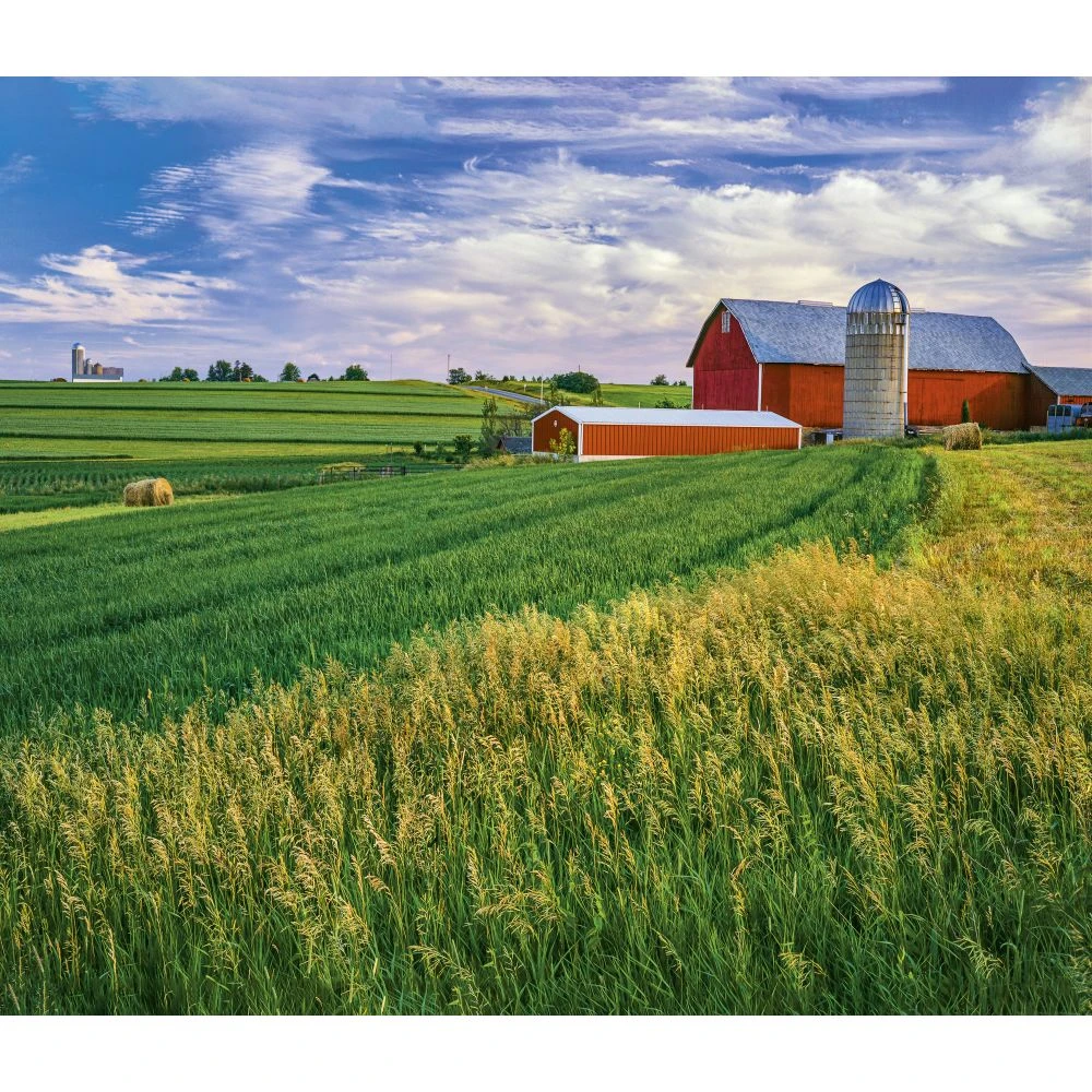 Barns Deluxe 2024 Wall Calendar 6 Barns Deluxe 2024 Wall Calendar - Image 4