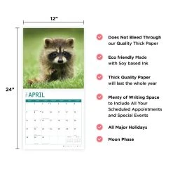 Baby Raccoons 2024 Wall Calendar -Calendars Sales Store 6683c3c8 e947 40aa a640 469d1e802d5e