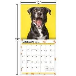 Doggy Want A Treat 2024 Wall Calendar -Calendars Sales Store 66a93a54 22a3 4150 9c25 25fae8e649a6