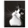 Regal Cat Portrait 2024 Wall Calendar