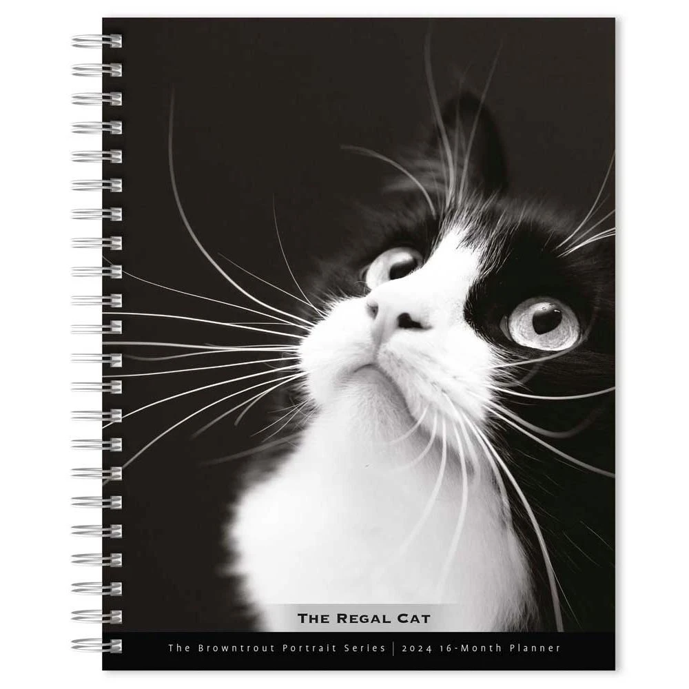 Regal Cat Portrait 2024 Wall Calendar 3 Regal Cat Portrait 2024 Wall Calendar