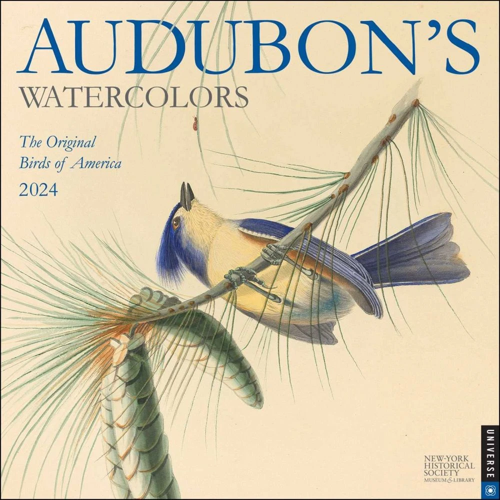 Audubons Watercolors 2024 Wall Calendar 3 Audubons Watercolors 2024 Wall Calendar
