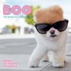 Boo 2024 Wall Calendar -Calendars Sales Store 6835ce50 0b4a 4662 8fcc 9f6bfe8ac993