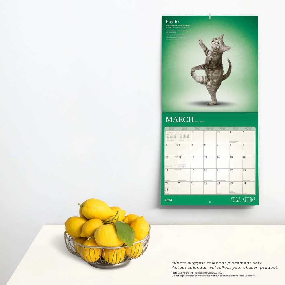 Yoga Kittens 2024 Wall Calendar 6 Yoga Kittens 2024 Wall Calendar - Image 4