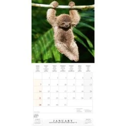 Rainforest Alive 2024 Wall Calendar -Calendars Sales Store 68ec2cda ced7 45c9 9f17 ed60c1c3c20e