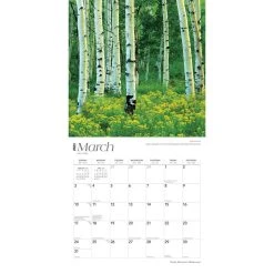 Rocky Mountain Wilderness 2024 Wall Calendar -Calendars Sales Store 69addf30 ae51 4d8d 9b9b 3d73c3bc4320