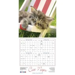 Cat Naps 2024 Wall Calendar 12 Cat Naps 2024 Wall Calendar -Calendars Sales Store 69b82627 90f6 4095 b8db 66695eefdacb