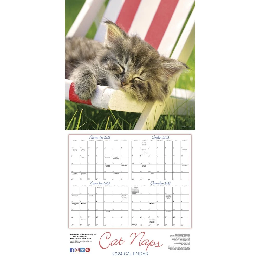Cat Naps 2024 Wall Calendar 7 Cat Naps 2024 Wall Calendar - Image 5