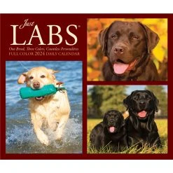 Just Labs 2024 Desk Calendar -Calendars Sales Store 6a356e61 eaab 4f35 aed0 67a98b6ad4fd