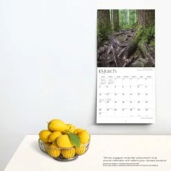 Washington Wild And Scenic 2024 Wall Calendar -Calendars Sales Store 6a57494f 6f85 444c 9a9c c2a11ca040c4