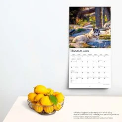Wolves 2024 Wall Calendar -Calendars Sales Store 6baec549 9d03 492d a645 cb51c7a1b483