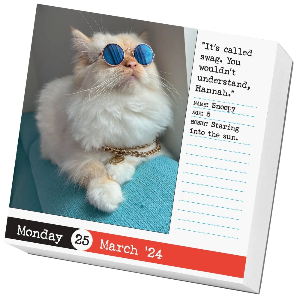 Bad Cat 2024 Desk Calendar 4 Bad Cat 2024 Desk Calendar - Image 2