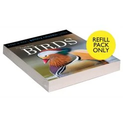 Audubon Birds Gallery 2024 Desk Calendar Refill Pack