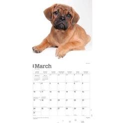 Puggles 2024 Wall Calendar -Calendars Sales Store 6dd596eb 64a8 411b 9c31 8ac9163f5ffd