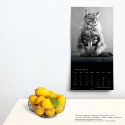 Cat Regal Portrait Series 2024 Wall Calendar -Calendars Sales Store 6ee65468 60ad 4917 b1a1 e45f6281e523
