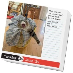 Bad Cat 2024 Desk Calendar 7 Bad Cat 2024 Desk Calendar -Calendars Sales Store 6f94ce22 833d 404c a21d 355908ac441e