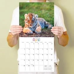 Baby Animals - Wildlife 2024 Wall Calendar -Calendars Sales Store 7004bb4c 517c 40c3 aad2 40f1bd0c6400