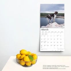German Shorthaired Pointers 2024 Wall Calendar 13 German Shorthaired Pointers 2024 Wall Calendar -Calendars Sales Store 70317591 b907 4967 8700 26cd8f3469cb
