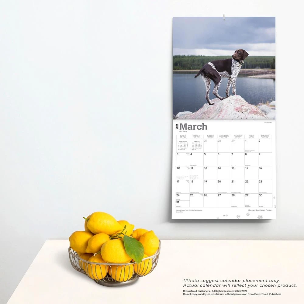 German Shorthaired Pointers 2024 Wall Calendar 6 German Shorthaired Pointers 2024 Wall Calendar - Image 4