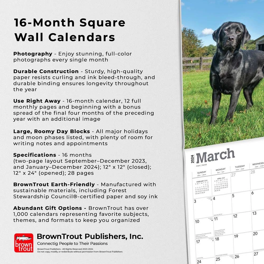 Black Lab Retriever 2024 Wall Calendar 7 Black Lab Retriever 2024 Wall Calendar - Image 5