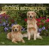 Golden Retrievers Deluxe 2024 Wall Calendar 2 Golden Retrievers Deluxe 2024 Wall Calendar -Calendars Sales Store 70f47c03 89ac 4645 a68b 74163481a1f1