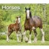 Horses Deluxe 2024 Wall Calendar 1 Horses Deluxe 2024 Wall Calendar -Calendars Sales Store 71ca807a 9aa8 43fd badc cfe3f100d1d1