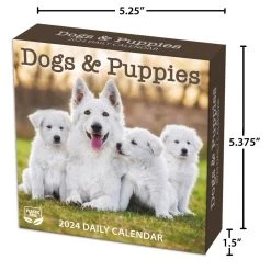 Dogs And Puppies 2024 Desk Calendar -Calendars Sales Store 722136a5 a608 4c5c a0ec ec4a8ccf9f87