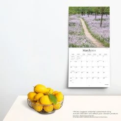 Pathways 2024 Wall Calendar 13 Pathways 2024 Wall Calendar -Calendars Sales Store 725ab849 6086 495b 89b2 354aef4b7074