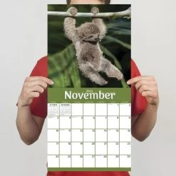 Sloths 2024 Wall Calendar -Calendars Sales Store 729e0057 8b6a 4b41 9bd3 2eb27875b269