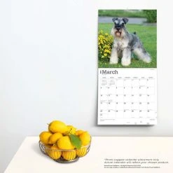 Schnauzers 2024 Wall Calendar -Calendars Sales Store 7439791b 8616 410c 8e1e 97cc9552086c