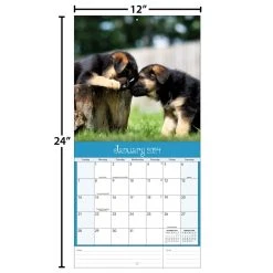 Playful Puppies 2024 Wall Calendar -Calendars Sales Store 744776f1 6f8e 47ca b059 d2ef955195b9