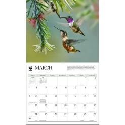 Hummingbirds WWF 2024 Wall Calendar -Calendars Sales Store 75595add 2de6 4f8f 9b44 2b8e7f99dbcb