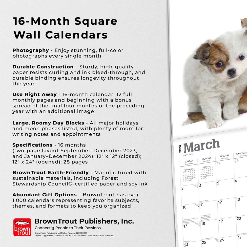 Chihuahua Puppies 2024 Wall Calendar 7 Chihuahua Puppies 2024 Wall Calendar - Image 5