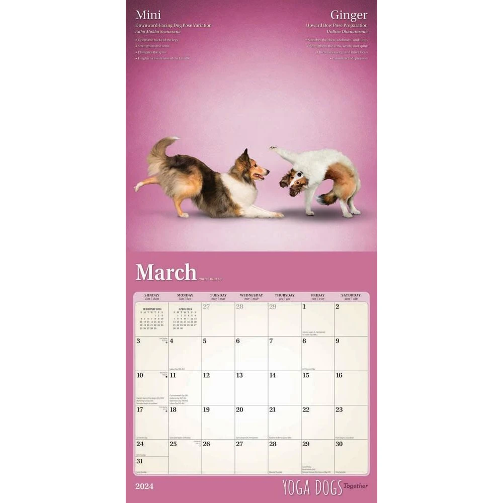 Yoga Dogs Together 2024 Wall Calendar 5 Yoga Dogs Together 2024 Wall Calendar - Image 3