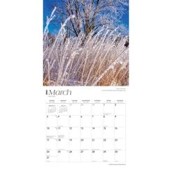 Minnesota Wild And Scenic 2024 Wall Calendar 13 Minnesota Wild And Scenic 2024 Wall Calendar -Calendars Sales Store 76c76b30 8e1f 4f70 9770 f3103505b467