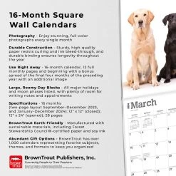 Labrador Retriever 2024 Wall Calendar 14 Labrador Retriever 2024 Wall Calendar -Calendars Sales Store 76caadeb ba84 4947 9558 f29ac7bd7e92