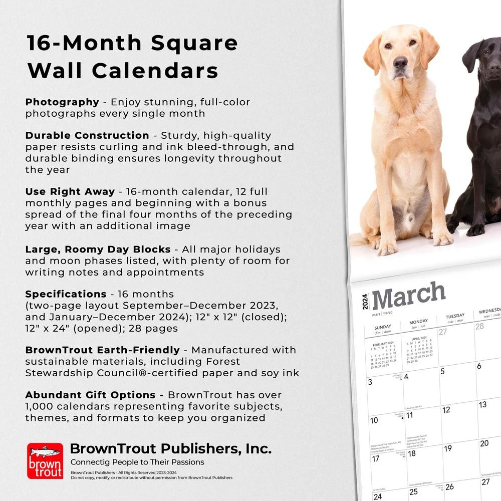 Labrador Retriever 2024 Wall Calendar 7 Labrador Retriever 2024 Wall Calendar - Image 5