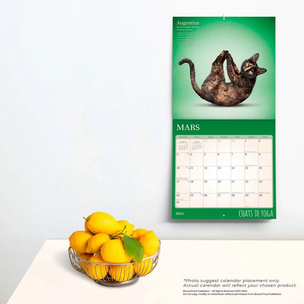 Yoga Cats 2024 French Wall Calendar 6 Yoga Cats 2024 French Wall Calendar - Image 4
